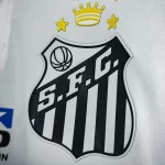 SAF bilionária: valor que o Santos será vendido já está definido